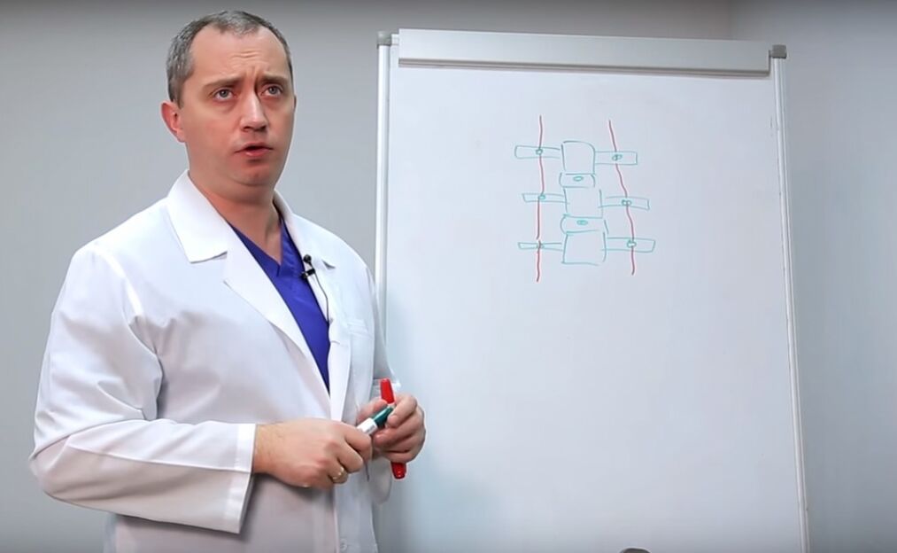 Doktor omurganın yapısını gösterir